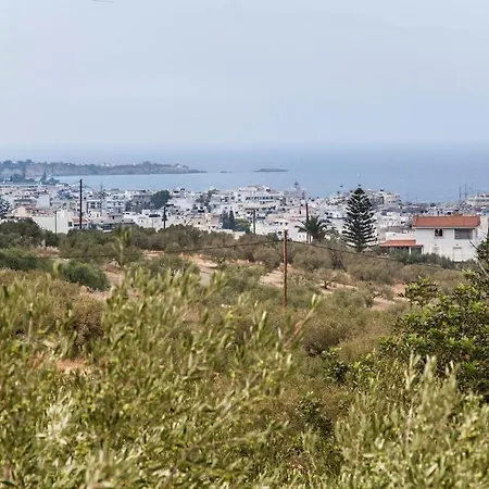 فيلة Erondas *